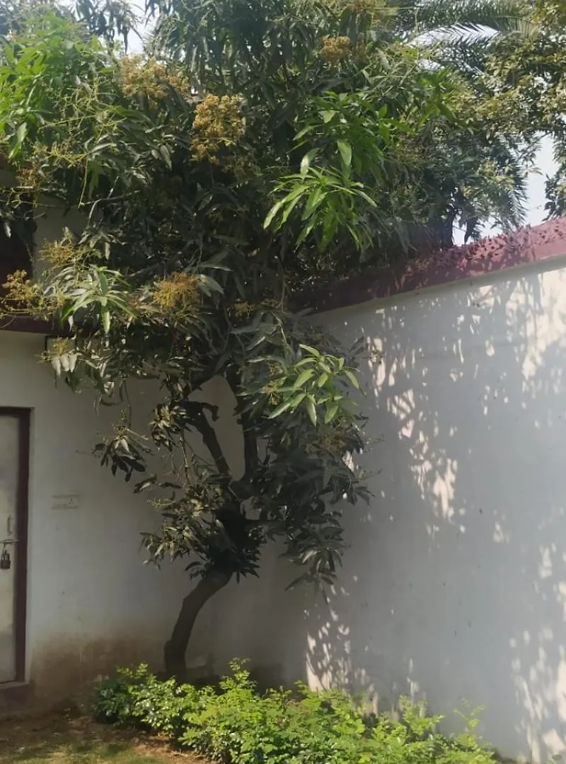 The Nature Abode Varanasi India