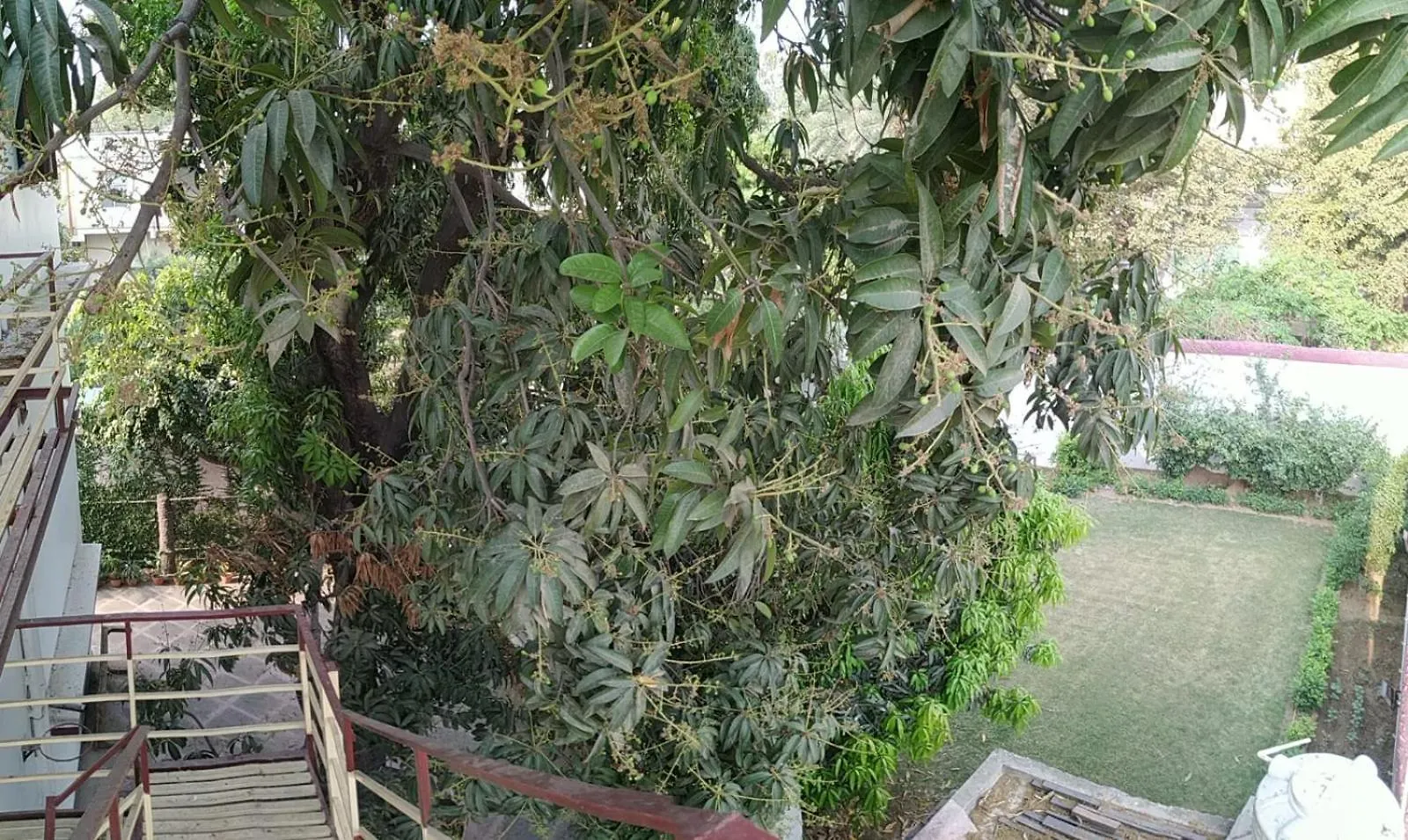 The Nature Abode Varanasi India